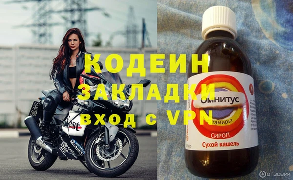 индика Верея