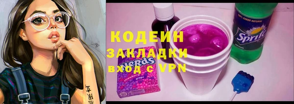 индика Верея