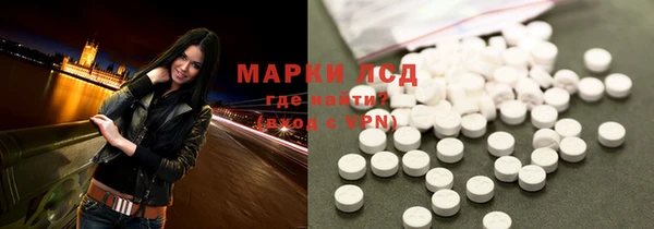 индика Верея