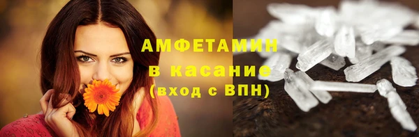 индика Верея