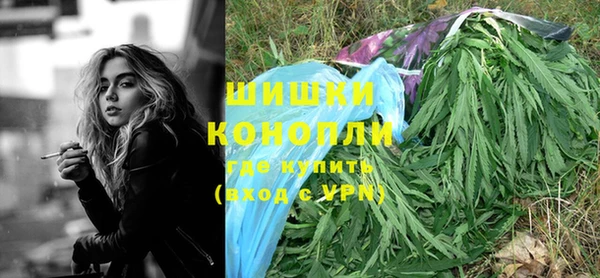 индика Верея