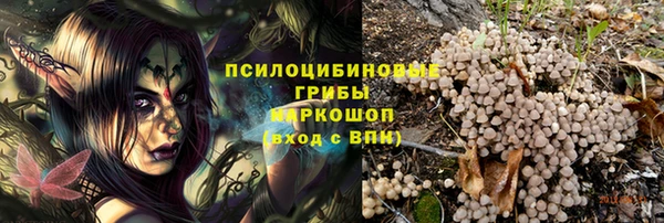 индика Верея
