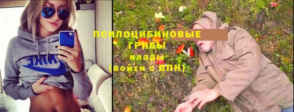 индика Верхнеуральск