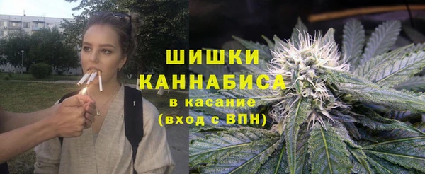 индика Верея