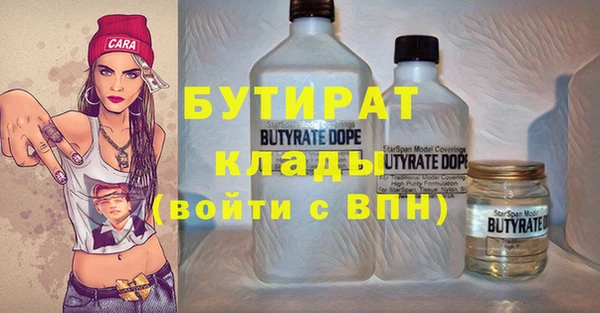 индика Верея