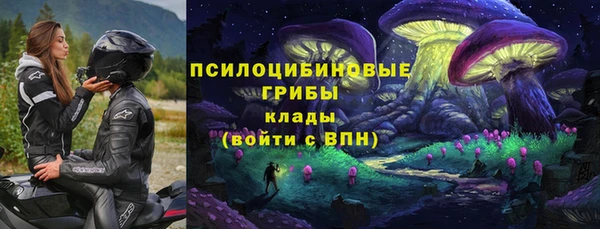 индика Верея