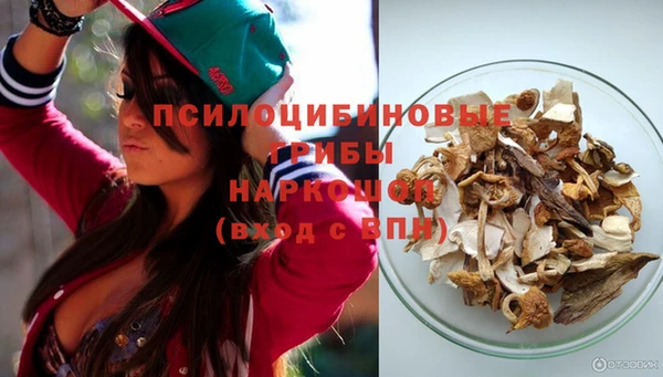 индика Верея