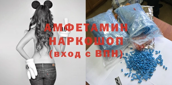 индика Верея