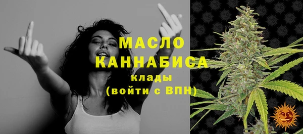 индика Верея