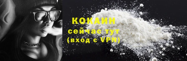 индика Верея