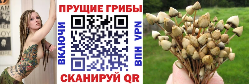 Галлюциногенные грибы мицелий  Мурманск 